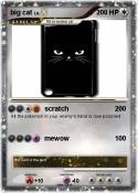 big cat