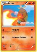 torchic