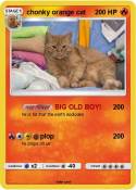 chonky orange