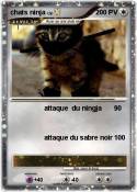 chats ninja