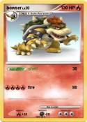bowser