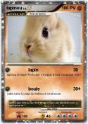 lapinou