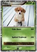 Puppy