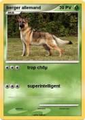 berger allemand
