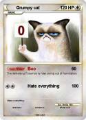 Grumpy cat