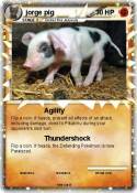 jorge pig