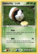 Guinea Pig Lv.5