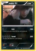 puppy EX