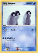 Baby Penguin