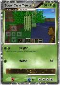Sugar Cane Tree