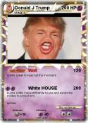 Donald J Trump