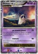 Grumpy cat