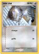 bébé chat