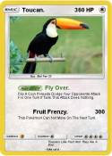 Toucan. 3