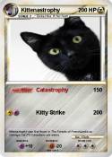 Kittenastrophy