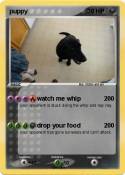 puppy