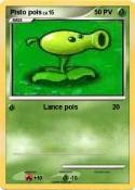 Pisto pois