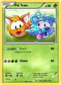 Pet Team