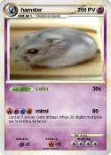 hamster