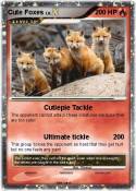 Cute Foxes