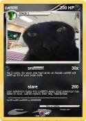catttttt