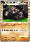 catkittens-eating