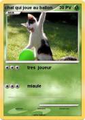 chat qui joue