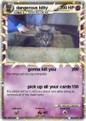 dangerous kitty