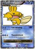 gold mudkip