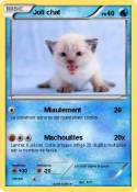 Joli chat
