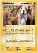 Prairie dogs
