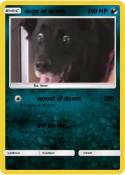 doge of doom