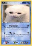 Sad cat