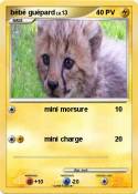 bébé guépard