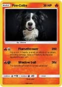 Fire-Collie
