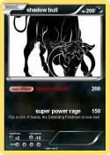 shadow bull
