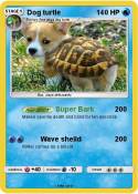 Dog turtle