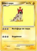 briard raspa