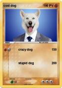 cool dog
