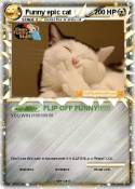 Funny epic cat