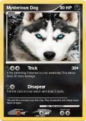 Mysterious Dog