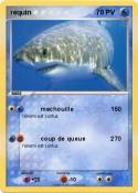 requin
