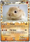 Hamster mimi