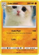 Cute kitten