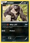 Harambe