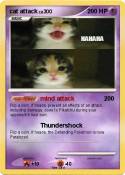 cat attack