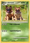 berger allemand