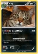 Kitty