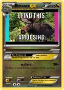 moose