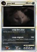 gros lard
